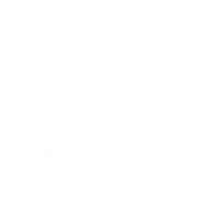 Samyak Naturals logo