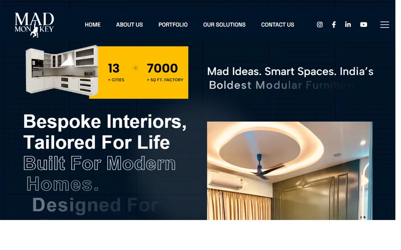 Mad Monkey website portfolio